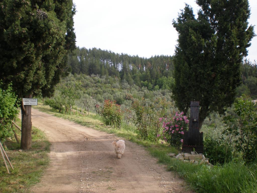 Agriturismo Podere Torre Greve in Chianti Dış mekan fotoğraf