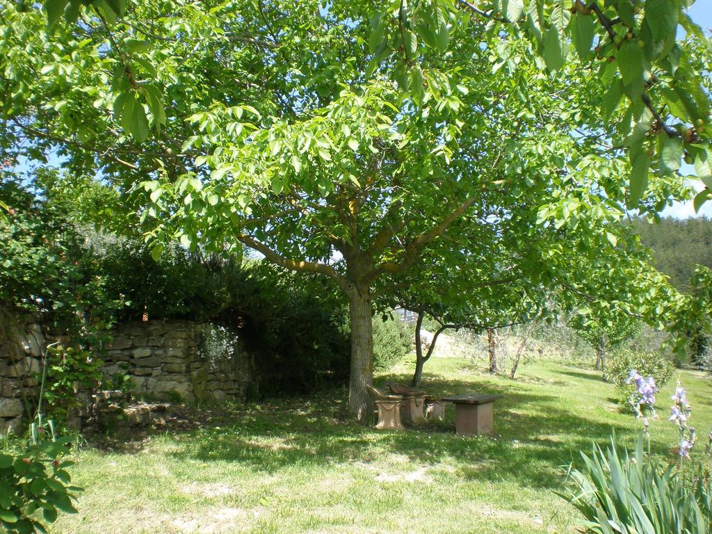 Agriturismo Podere Torre Greve in Chianti Dış mekan fotoğraf